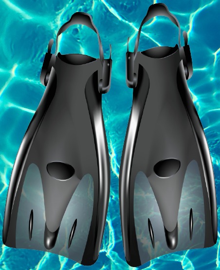scuba fins